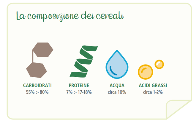 Composizione cereali